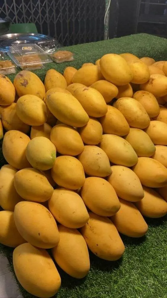 Trái xoài